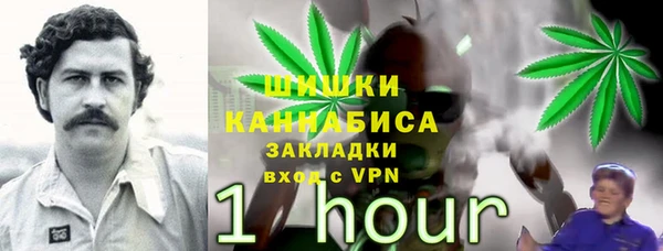 молекула духа Аркадак