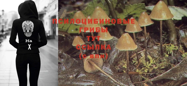 молекула духа Аркадак