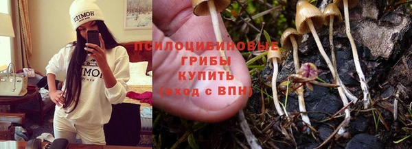 гашиш Арсеньев
