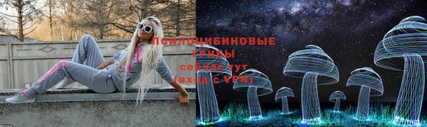 молекула духа Аркадак