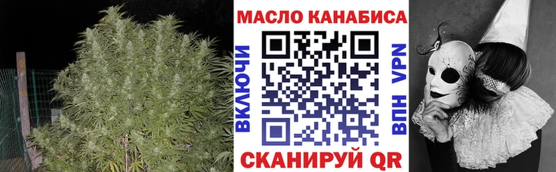 Купить  Горбатов  Дистиллят ТГК THC oil 